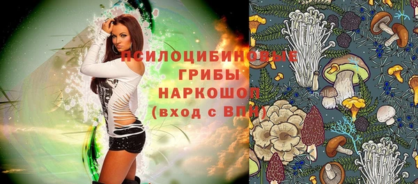 не бодяженный Арсеньев