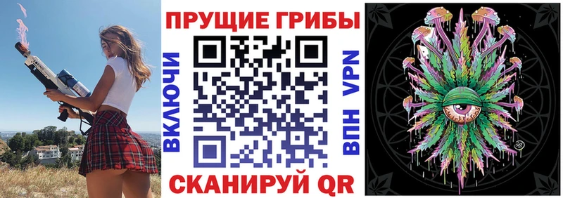 как найти закладки  Ногинск  Псилоцибиновые грибы GOLDEN TEACHER 