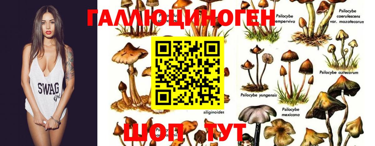 Ногинск  Псилоцибиновые грибы ЛСД  Вход с VPN 