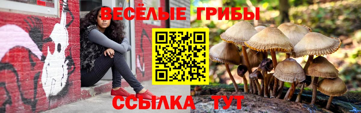 Галлюциногенные грибы прущие грибы Ногинск